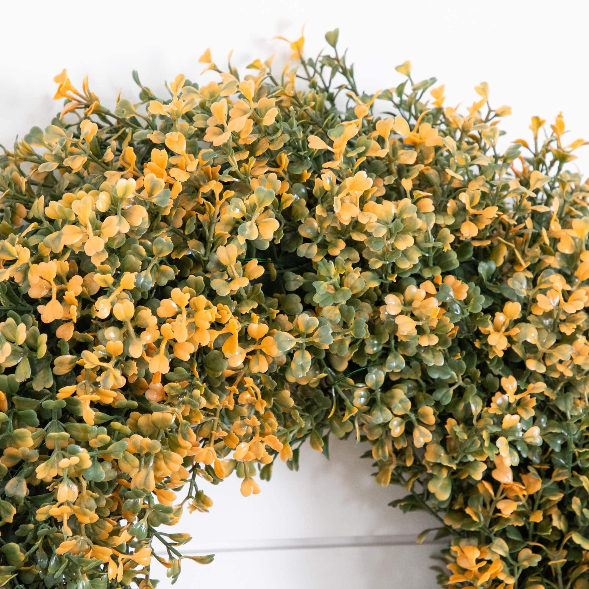 18in. Pre-Lit Autumn Boxwood Artificial Fall Wreath with 25 Warm White LED Lights
